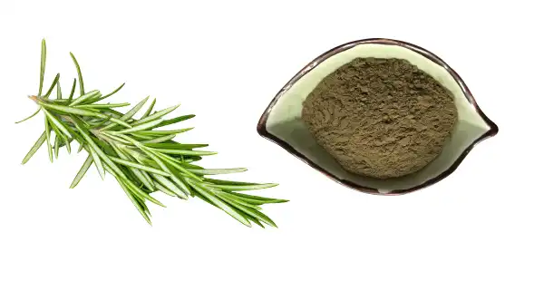 Rosemary Extract Powder Supplier.jpg